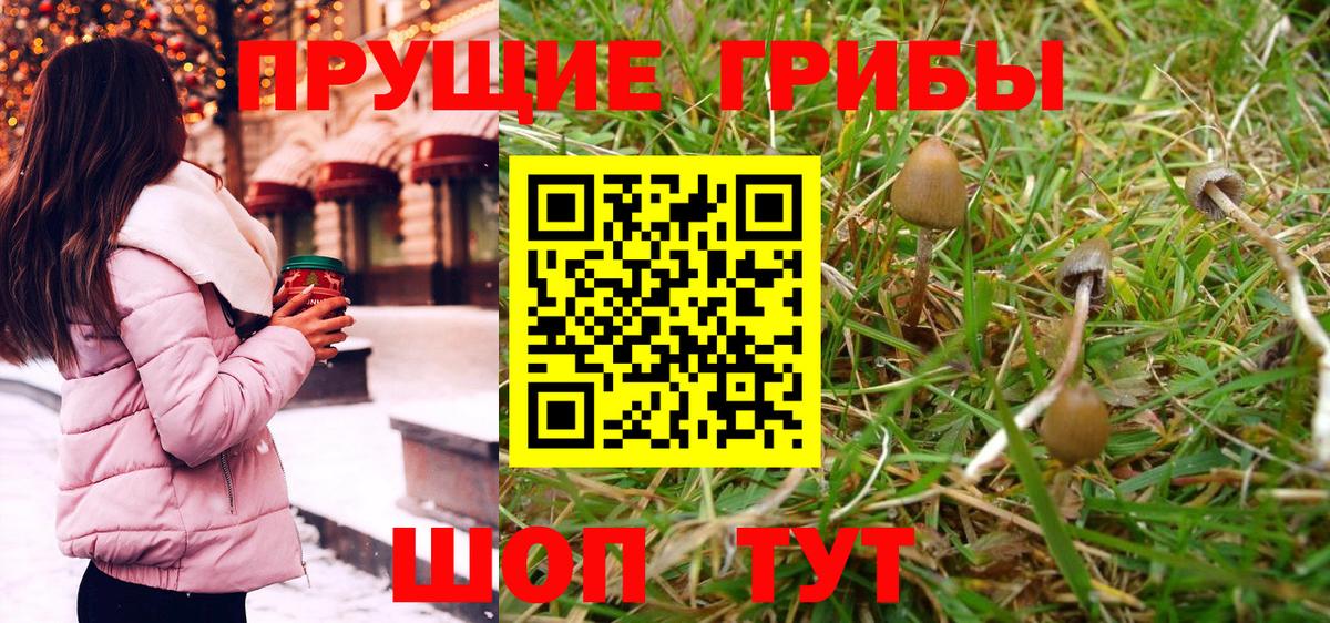 Галлюциногенные грибы Magic Shrooms  Вход с VPN  Ухта 